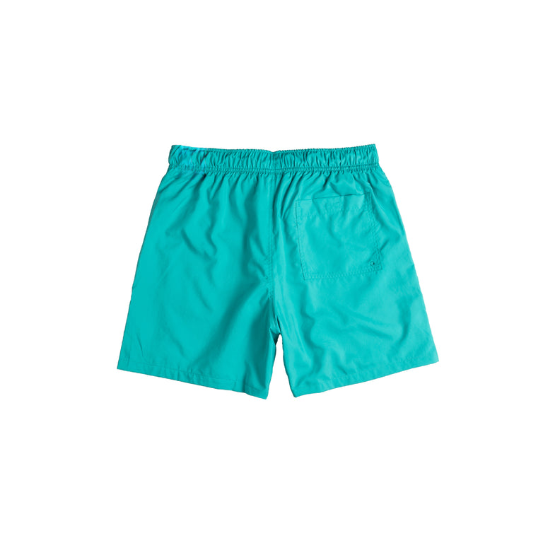 Nike Club Flow Short