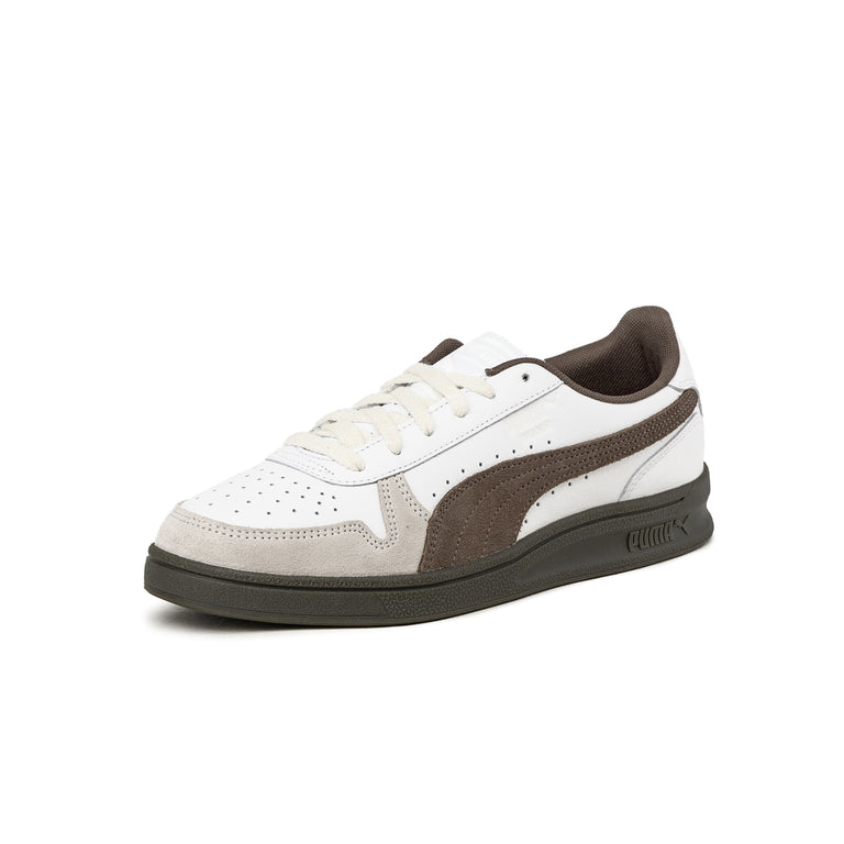 Puma Indoor