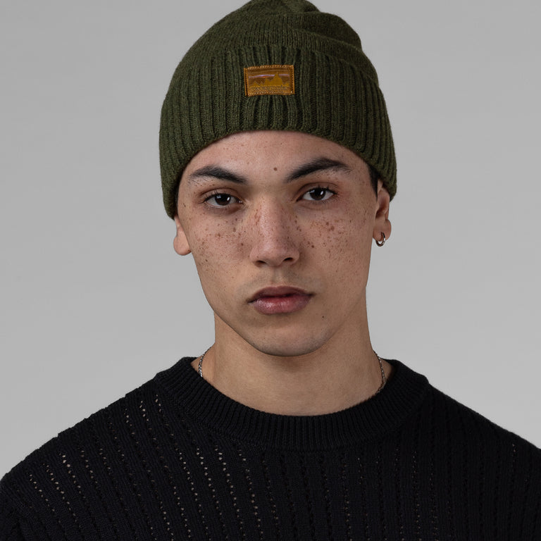 Patagonia Brodeo Beanie