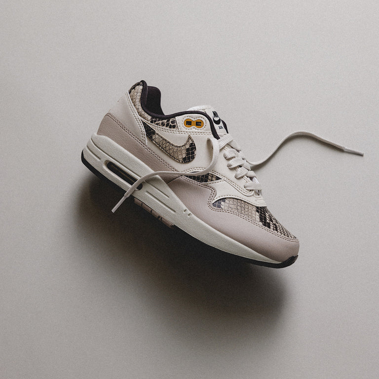 Nike Wmns Air Max 1 '87 onfeet