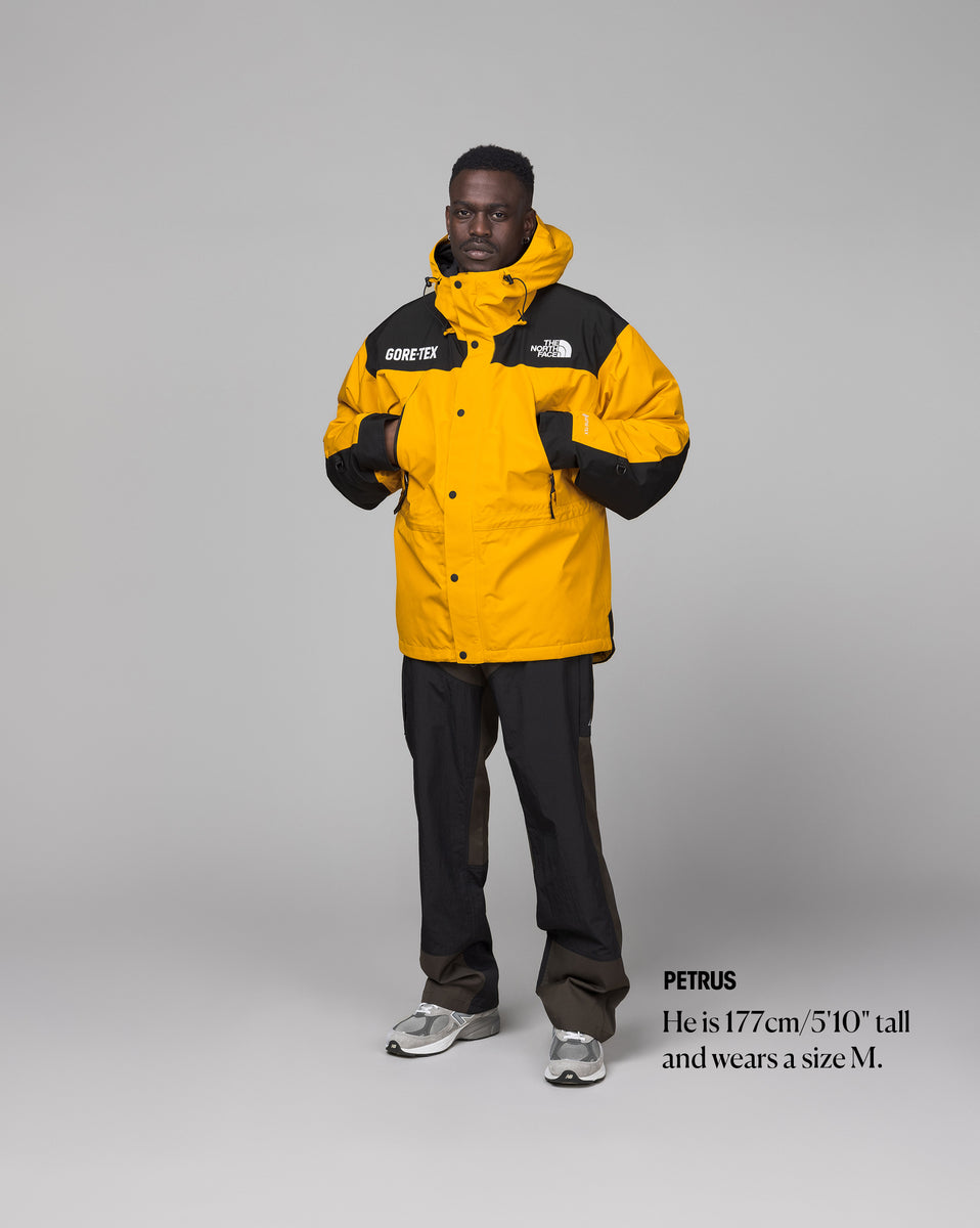 The North Face Gore Tex Mountain Guide Insulated jetzt online kaufen