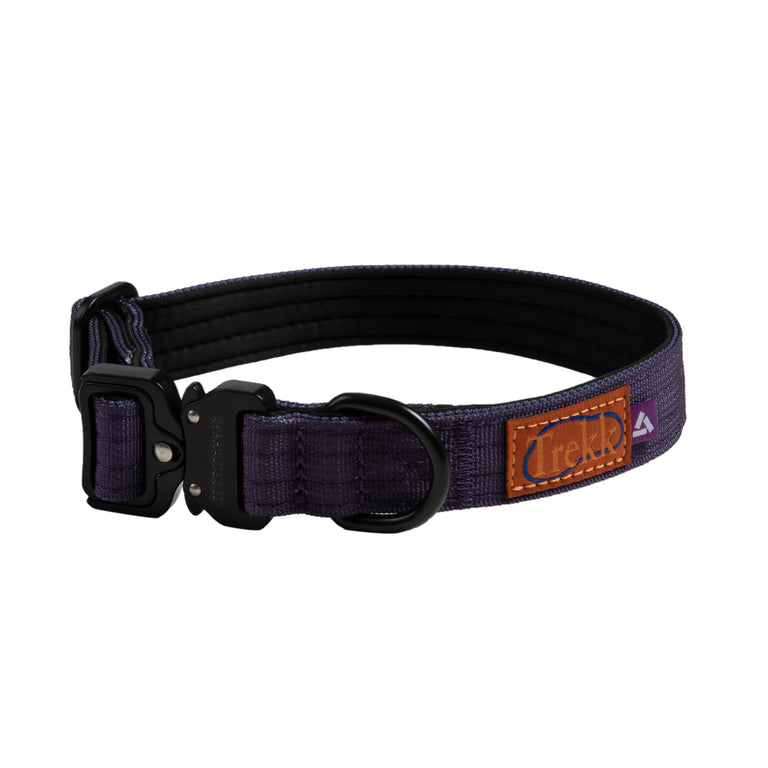 Trekk Dog Collar - S / Midnight Purple