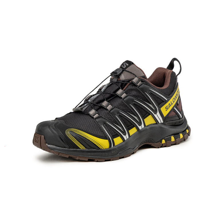 Salomon XA Pro 3D GTX