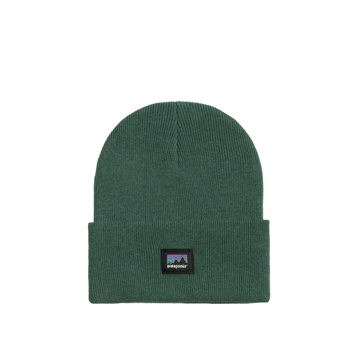 Patagonia 2025 green beanie