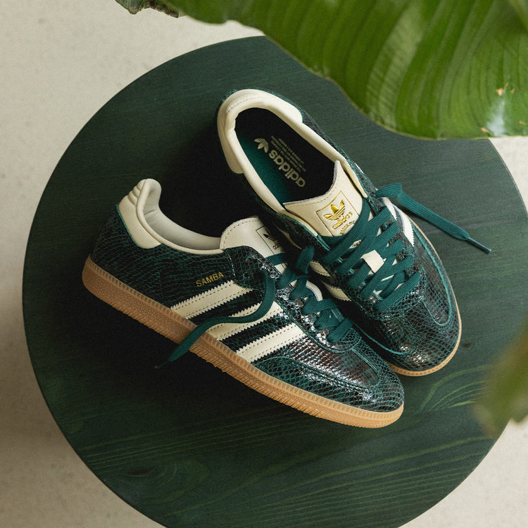 Adidas Samba OG W onfeet