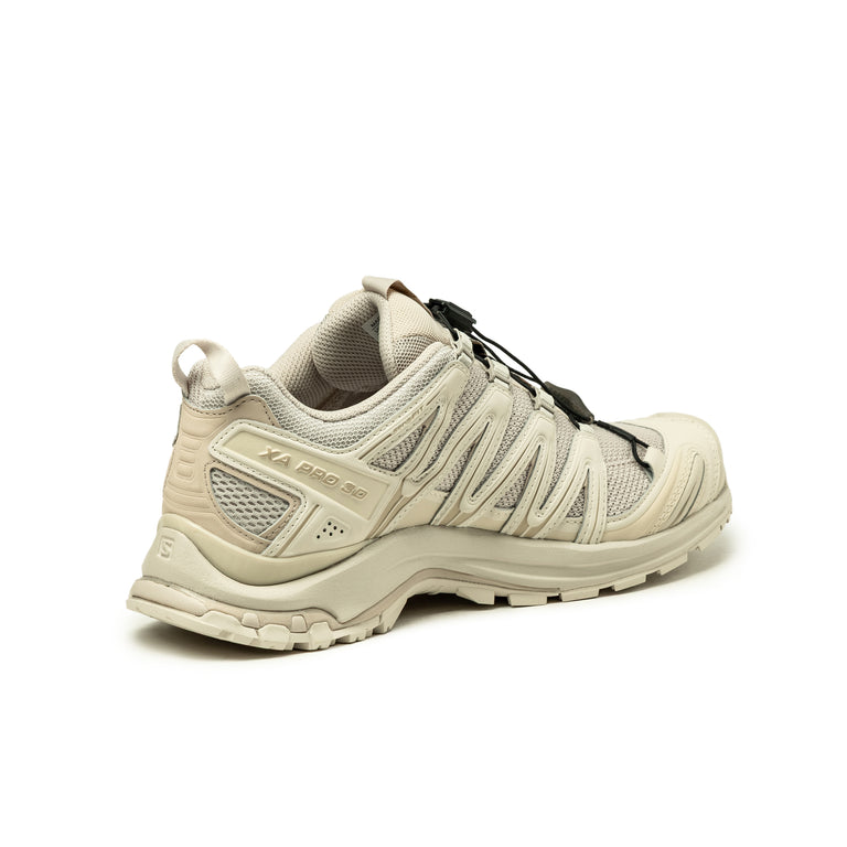 Salomon XA Pro 3D