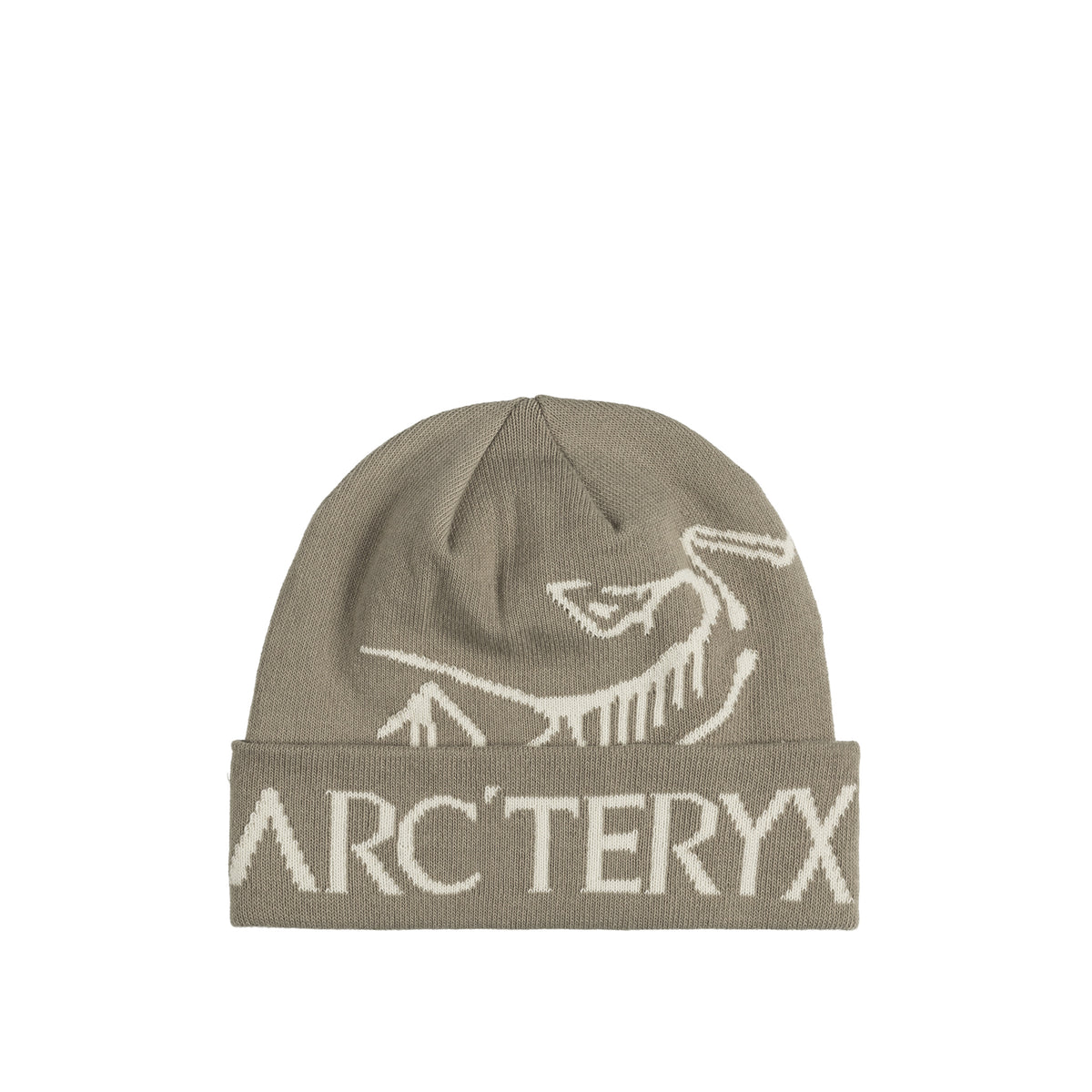 Arc'teryx Men's Bird Word Toque in Rune/Arctic Silk Arc'teryx