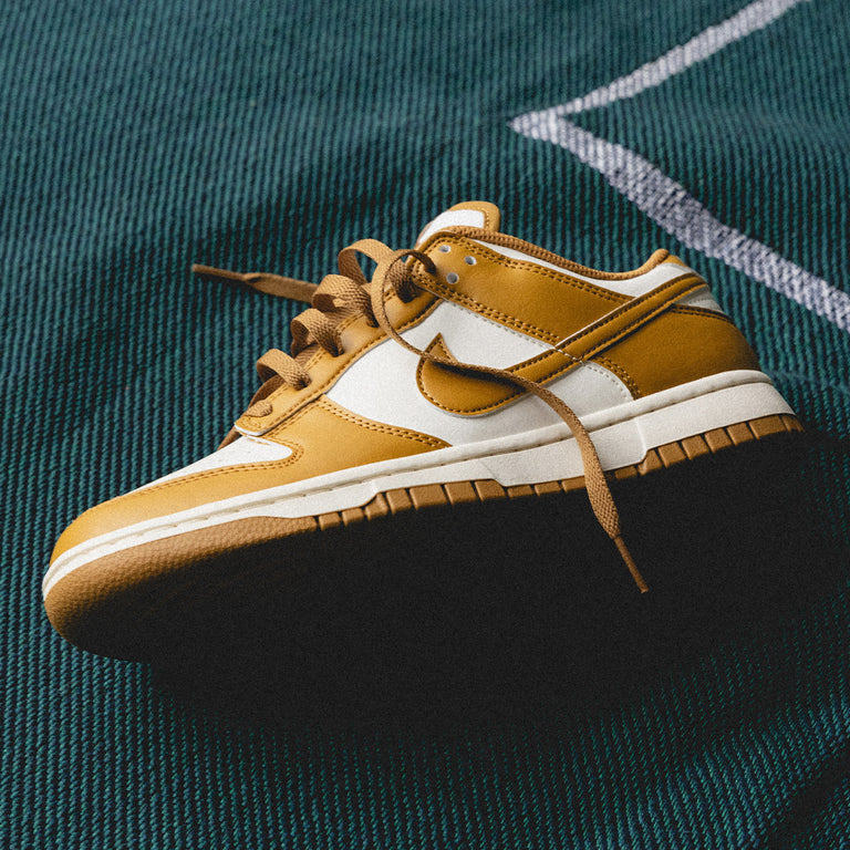 Nike Dunk Low Retro onfeet