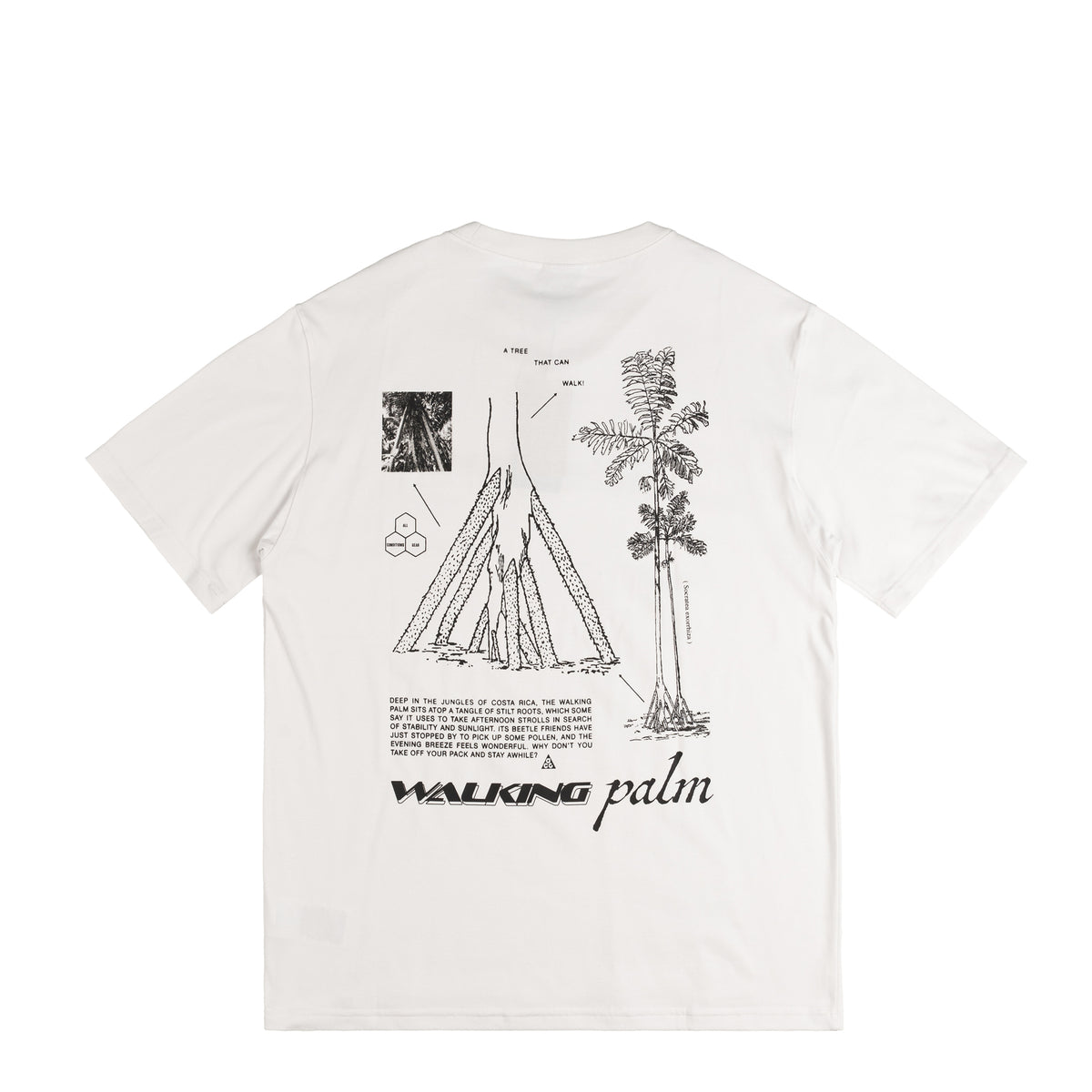 ★Nike★ ACG Walking Tree Men's Dry Fit T-Shirt HJ0797-121 M+ACG+DF+TEE+OC+WALK+TREE.png