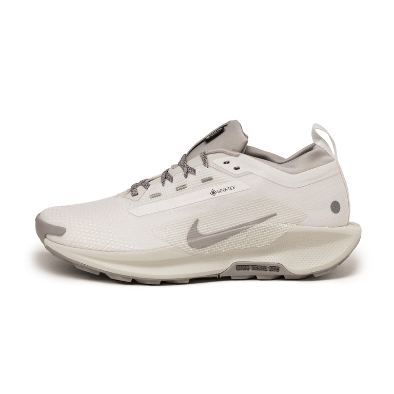 TnBVjHAB2O1bwRvORkrM HQ7494 100 Nike Pegasus Trail 5 Gore Tex SP Summit White College Grey Light Bone os 1