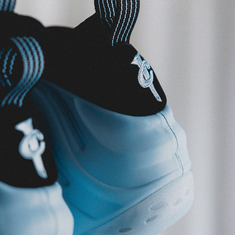 Nike Air Foamposite One onfeet