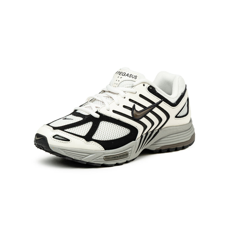Nike Air Pegasus 2005