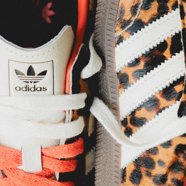 Adidas Samba OG W onfeet