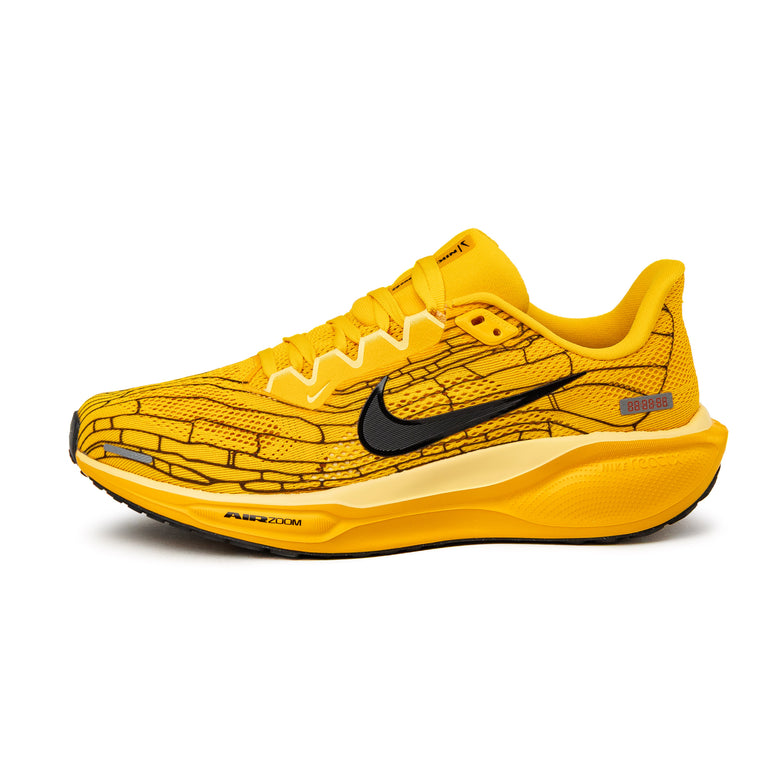 Nike Air Zoom Pegasus 41 SP *Mayfly*