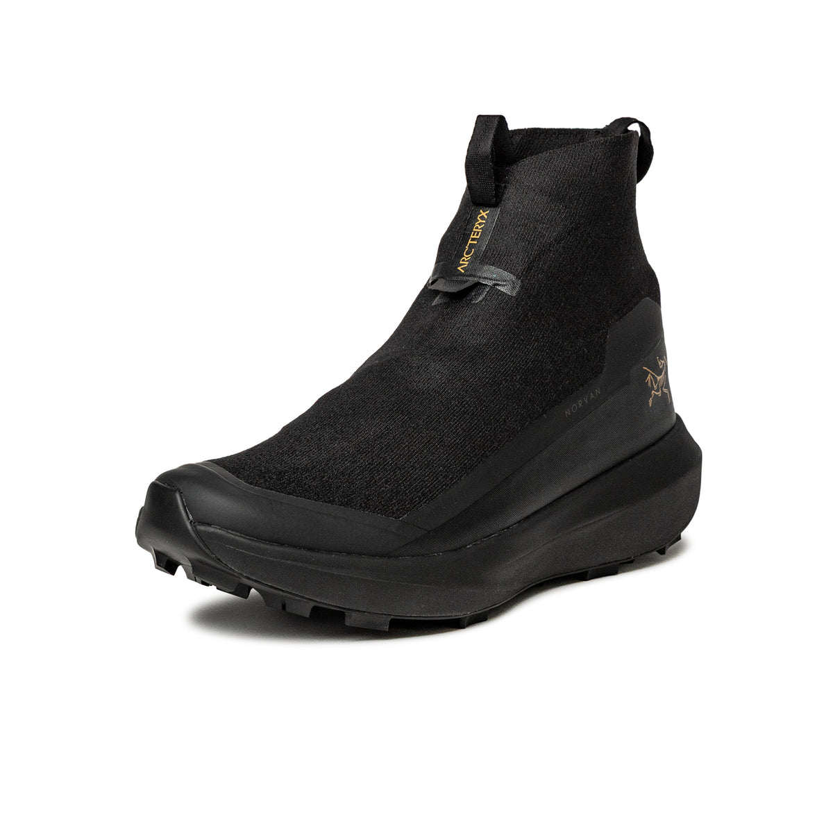 Arc'teryx Norvan 4 Nivalis GTX Sneaker » Buy online now!