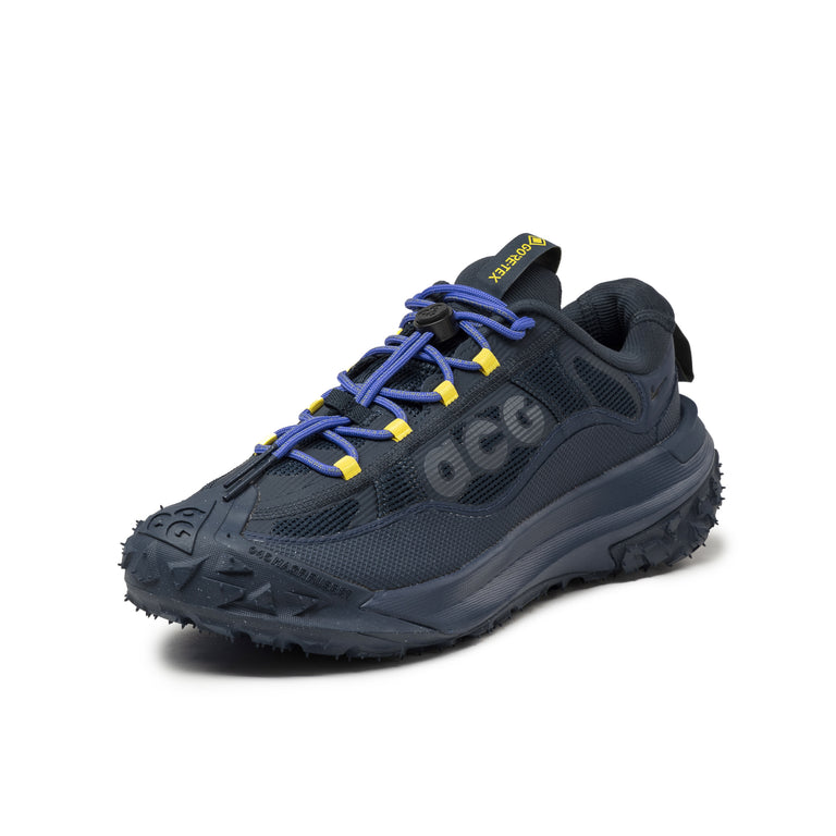 Nike ACG Mountain Fly 2 Low *GTX*