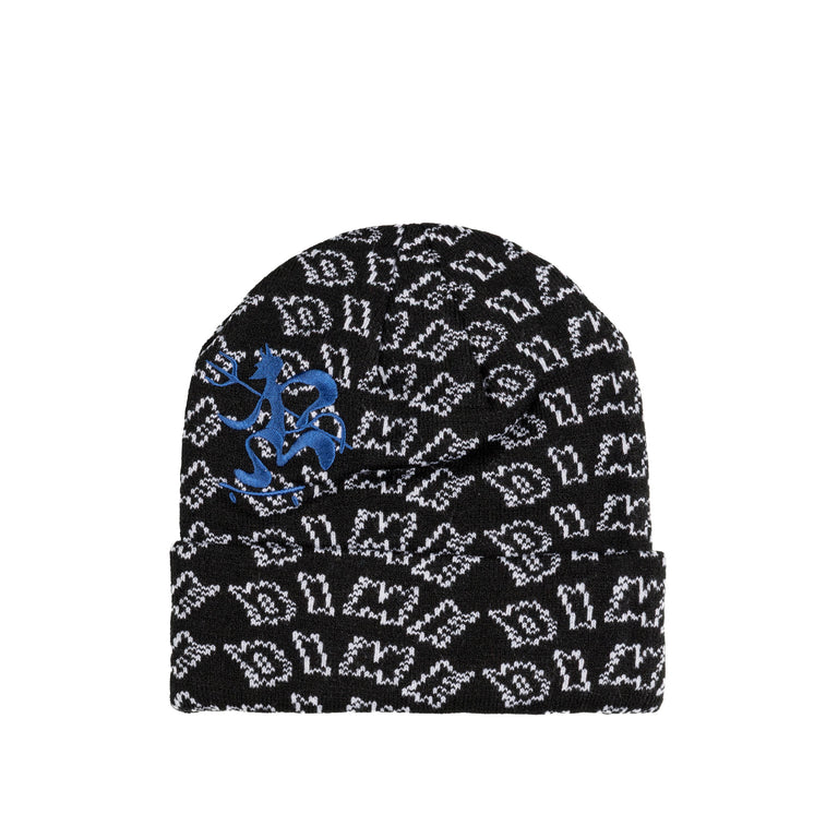 Dime Chopper Fold Beanie