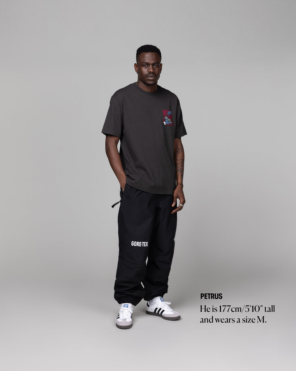The North Face Gore-Tex Mountain Pant » Buy online now!