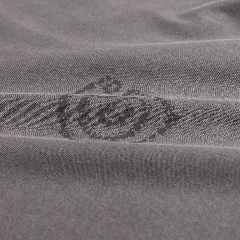 Carhartt WIP L/S Terrestrial T-Shirt