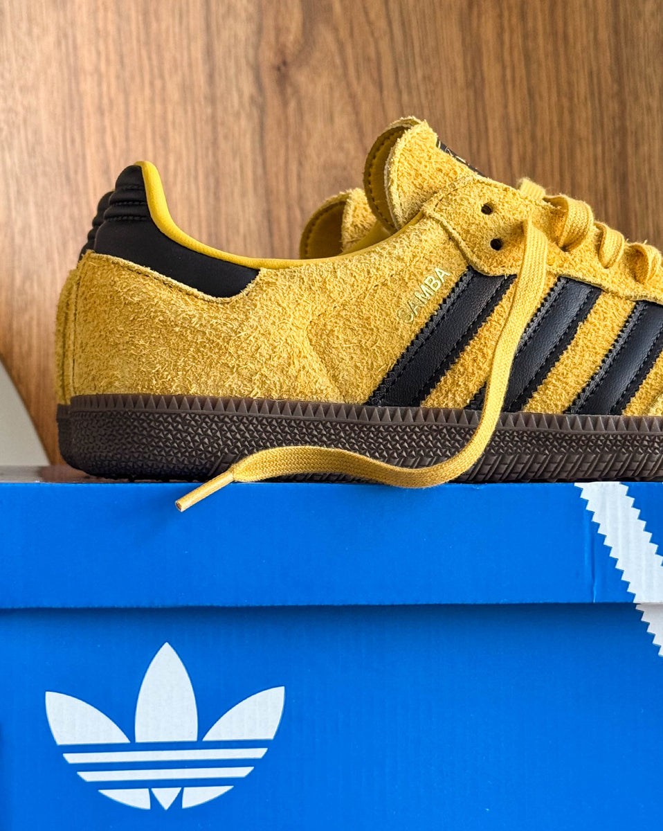 adidas gazelle silver green womens Adidas Samba ADV Collegiate Navy/Preloved Yellow/Royal Blue  Xtreme  Boardshop (XBUSA.COM)