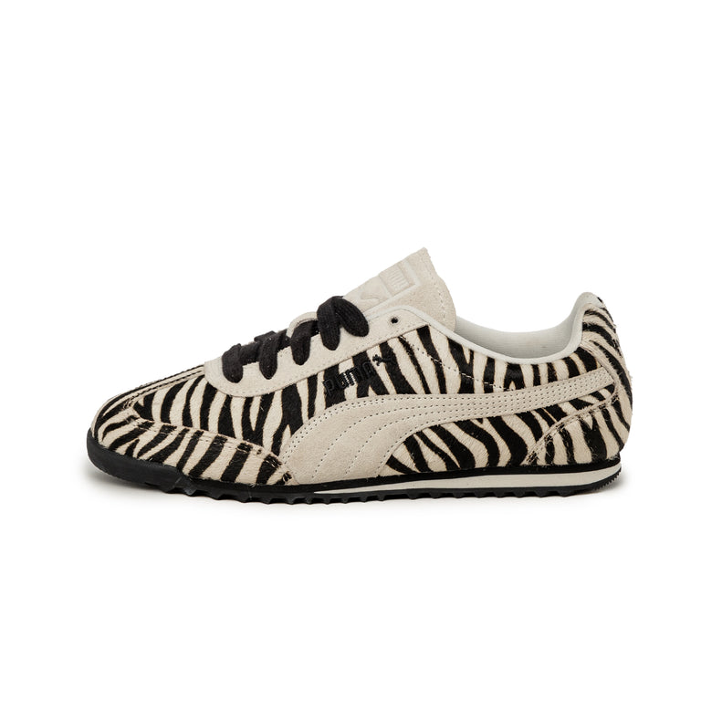Puma Arizona Zebra