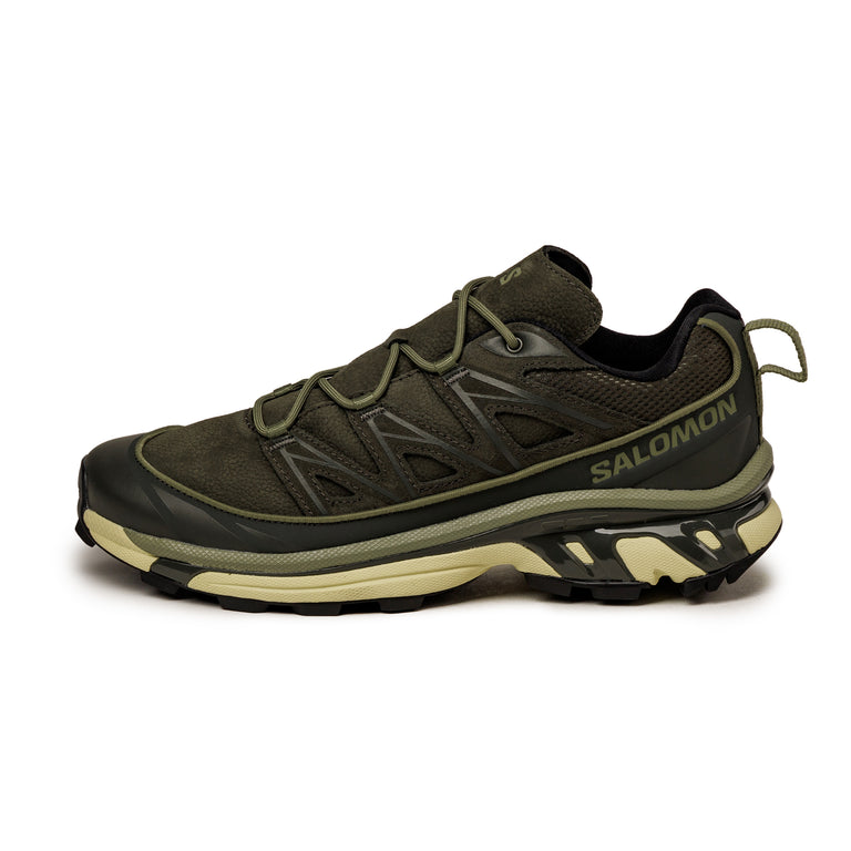 Salomon XT-6 Expanse LTR - 48 / Peat / Deep Lichen Green / Green Haze