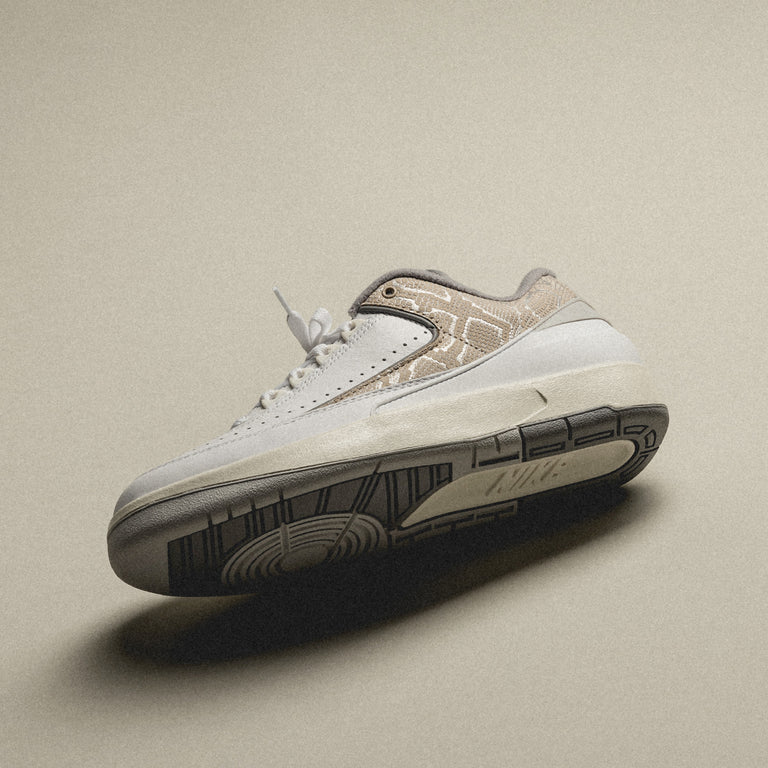 Nike Air Jordan 2 Retro Low onfeet
