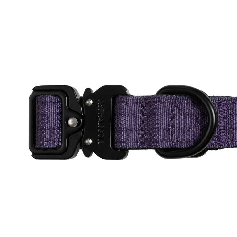 Trekk Dog Collar