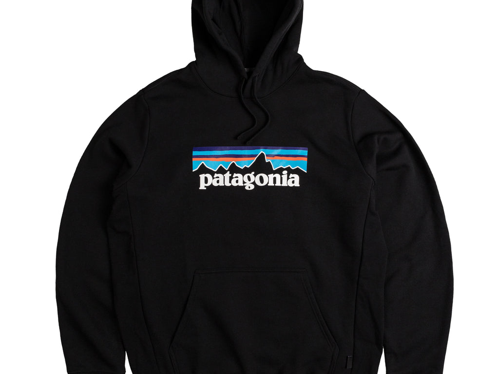 Patagonia white hoodie hot sale