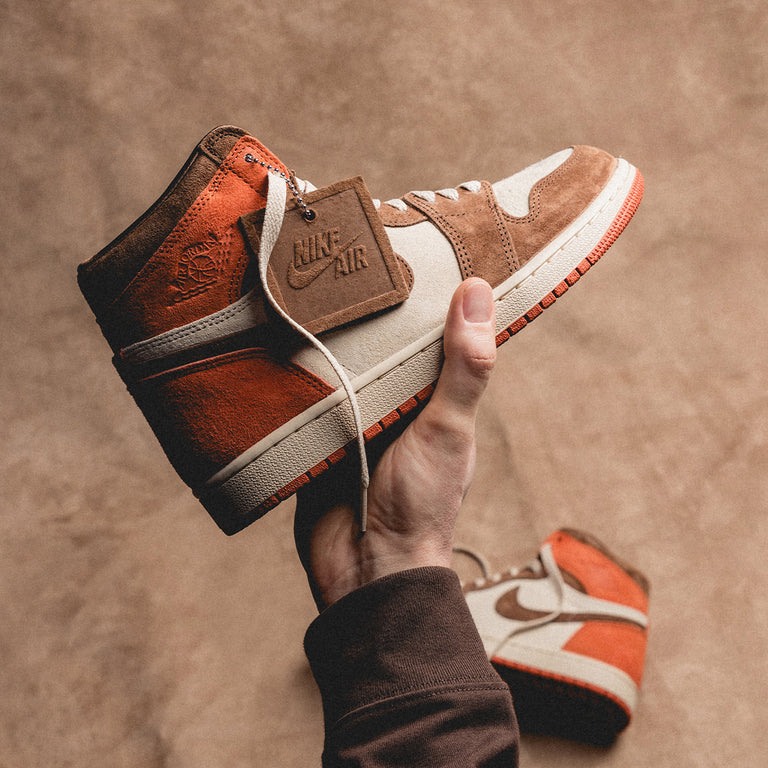 Nike Wmns Air Jordan 1 Retro High OG SP *Dusted Clay* onfeet