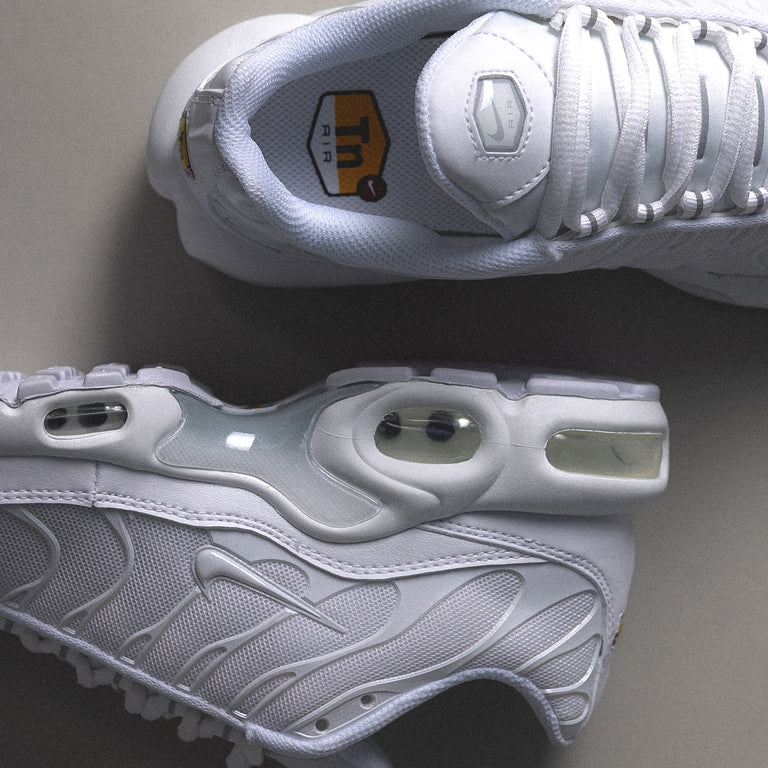 Nike Wmns Air Max Plus onfeet