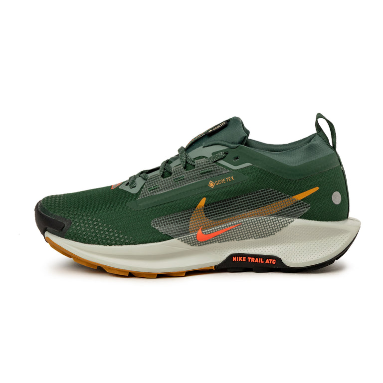 Nike Pegasus Trail 5 *Gore-Tex* SP