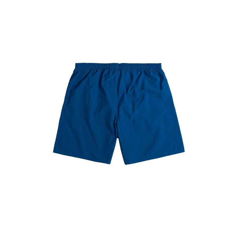 Patagonia Baggies Lights