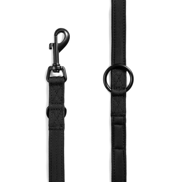 Trekk Dog Leash