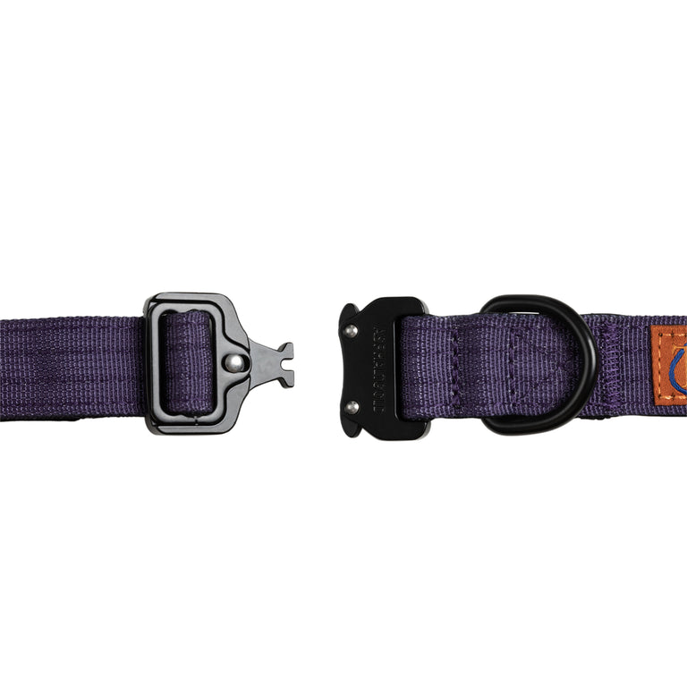 Trekk Dog Collar