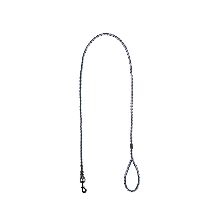 HAY Dogs Leash Braided