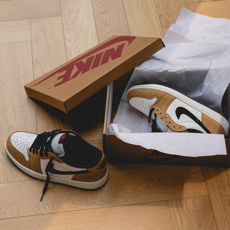 Nike Air Jordan 1 Retro Low OG *Rookie of the Year* onfeet