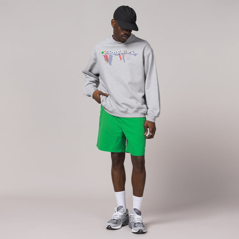 The North Face Water Short