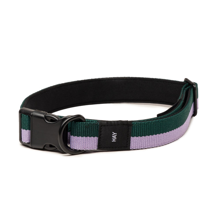 HAY Dogs Collar Flat M/L