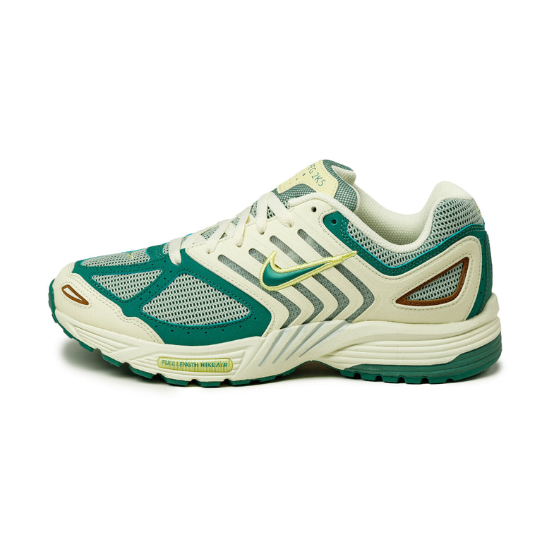 Nike Air Pegasus 2005