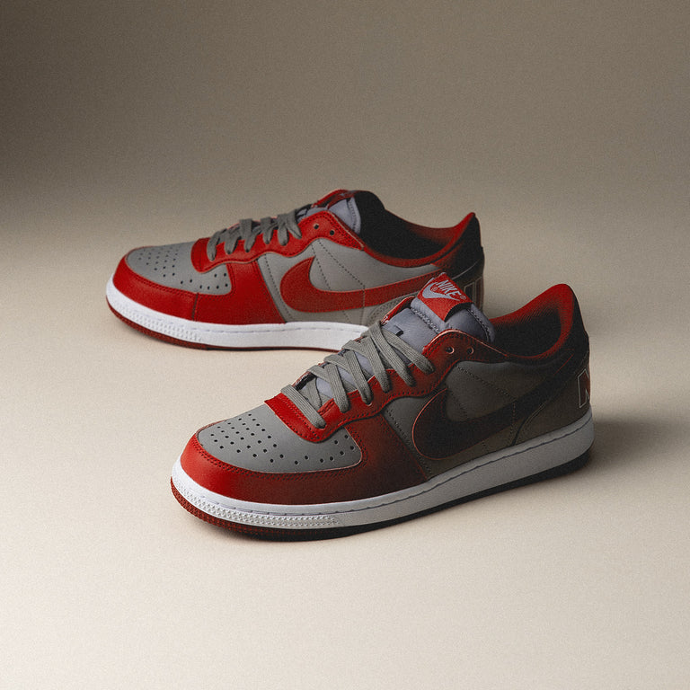 Nike Terminator Low onfeet