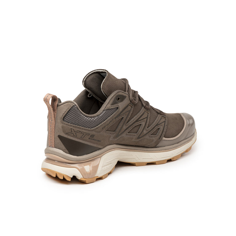 Salomon XT-6 Expanse LTR