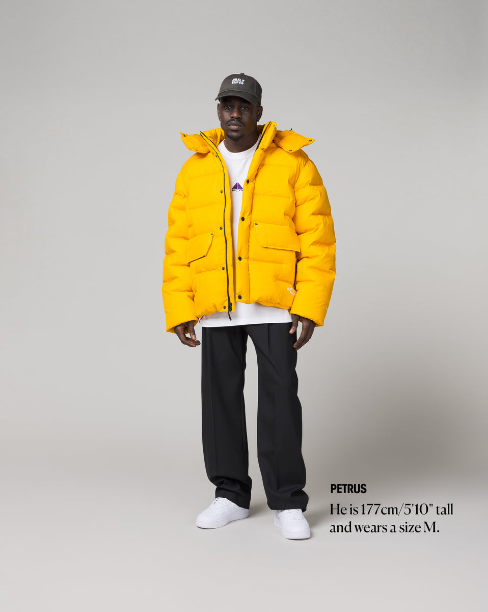 The North Face RMST Sierra Parka – buy now at Asphaltgold Online Store!