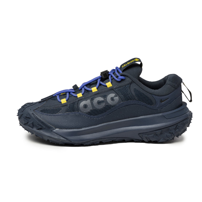Nike ACG Mountain Fly 2 Low *GTX*