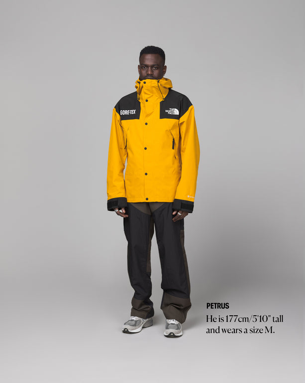 North face gore tex mountain jacket discount