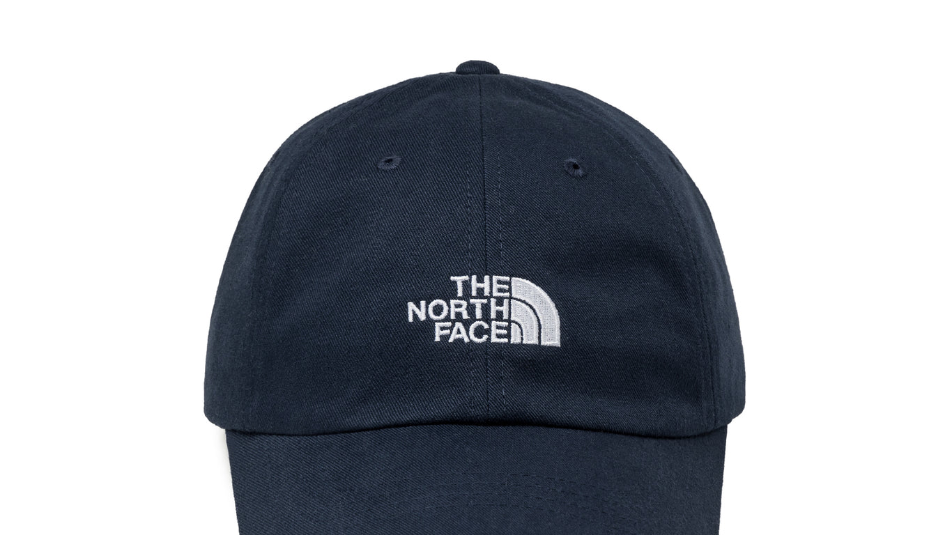 North face store aviator hat