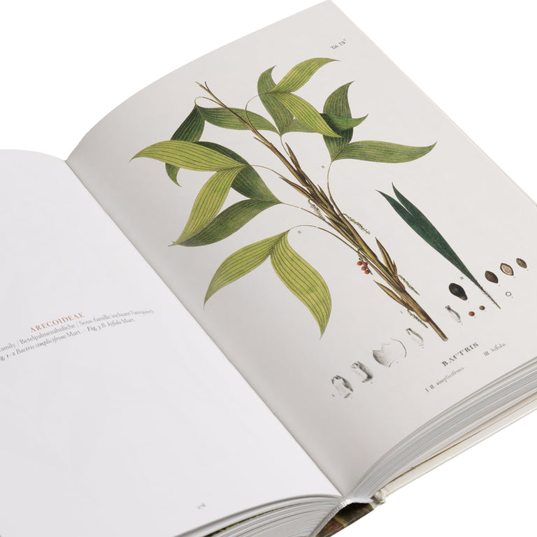 Taschen The Book of Palms (40th Edition)