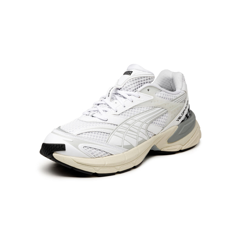 Puma Velophasis