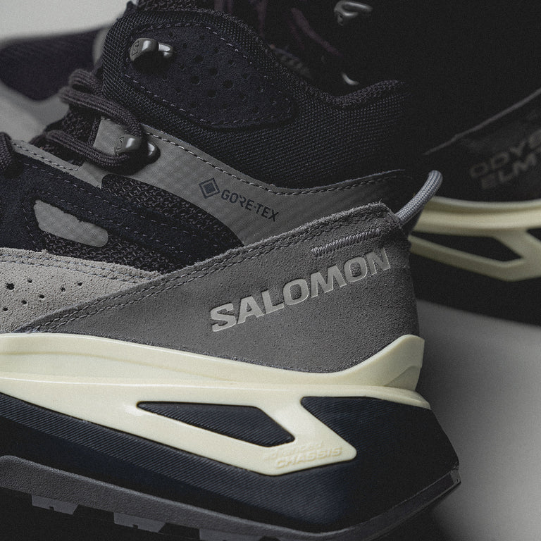 Salomon Odyssey Elmt Mid GTX onfeet