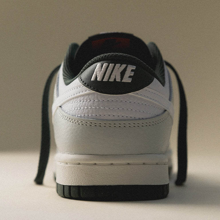 Nike Dunk Low Retro SE onfeet